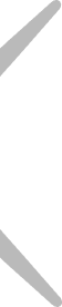 left wing